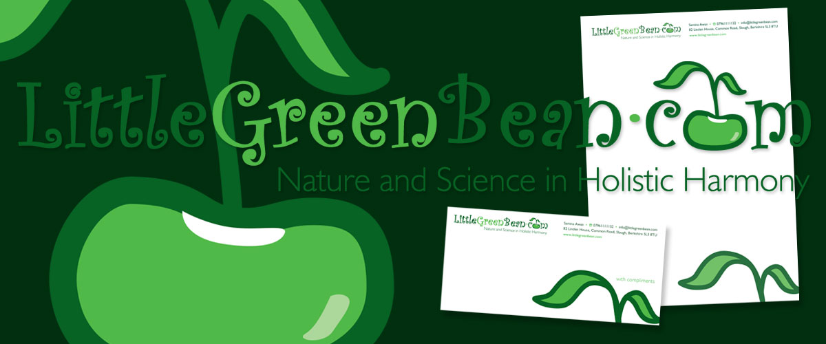 ernst & young branding guidlines